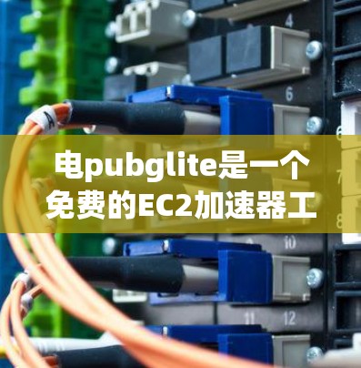 电pubglite是一个免费的EC2加速器工具,旨在帮助用户在AWS上运行更高效的应用程序。以下是对电pubglite的详细分析和建议 电pubglite是一个免费的EC2加速器工具,旨在帮助用户在AWS上运行更高效的应用程序。以下是对电pubglite的详细分析和建议