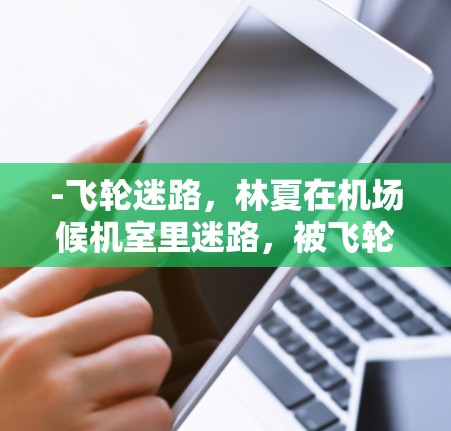 -飞轮迷路，林夏在机场候机室里迷路，被飞轮吸引