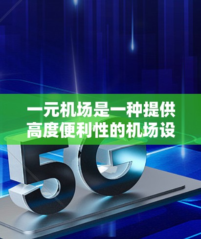 一元机场是一种提供高度便利性的机场设施，通常包括VIP服务，这在高端机场中更为常见。VIP服务旨在提高乘客的使用体验，通常是通过缩短登机流程、提供更高效的行李检查和更快速的服务窗口来实现的