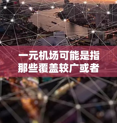 一元机场可能是指那些覆盖较广或者规模较小的机场，这些机场可能有更多的区域可以布置顶置服务。在这些机场中，顶置服务可能会成为重要的组成部分，例如在餐饮区提供特色餐厅，或者在交通区提供导航服务