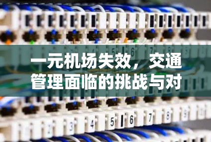 一元机场失效，交通管理面临的挑战与对策