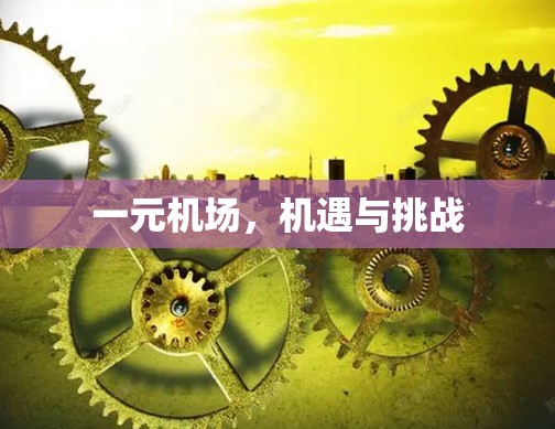 一元机场，机遇与挑战
