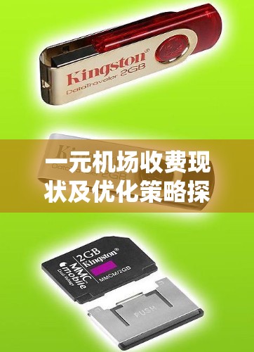 一元机场收费现状及优化策略探讨