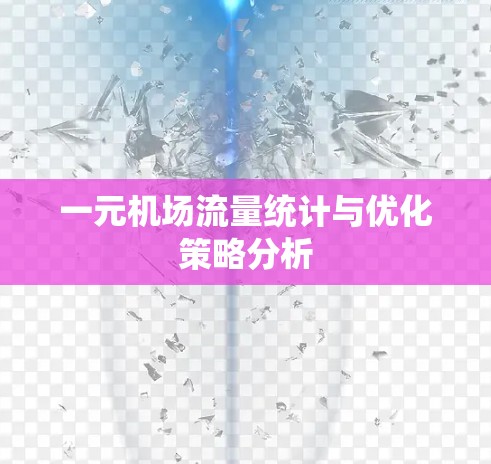 一元机场流量统计与优化策略分析