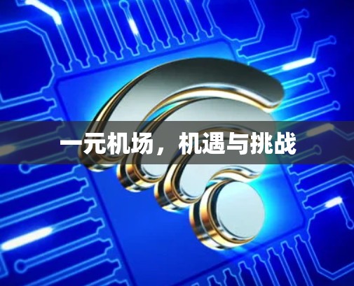 一元机场，机遇与挑战