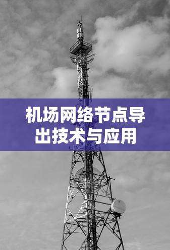 机场网络节点导出技术与应用