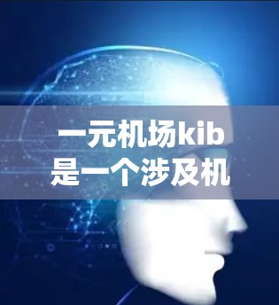 一元机场kib是一个涉及机场管理和信息技术的系统，主要用于监控和优化机场的运行。其核心功能包括