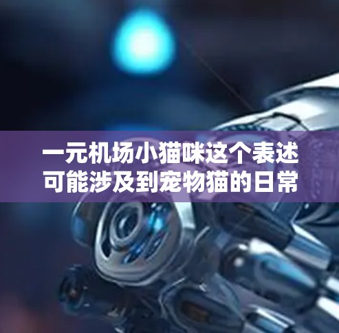 一元机场小猫咪这个表述可能涉及到宠物猫的日常照顾、收留、训练或宠物猫的活动。以下是一些可能的解释和建议