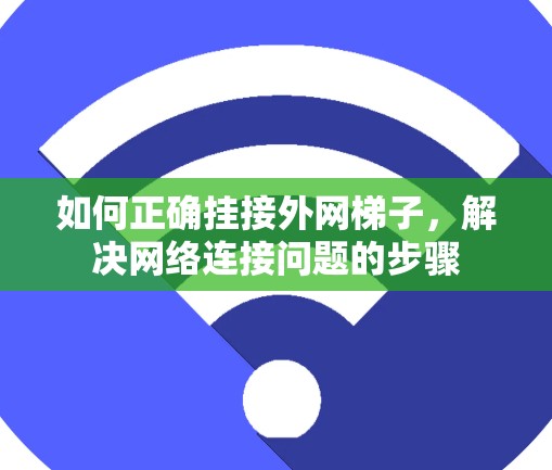 如何正确挂接外网梯子，解决网络连接问题的步骤