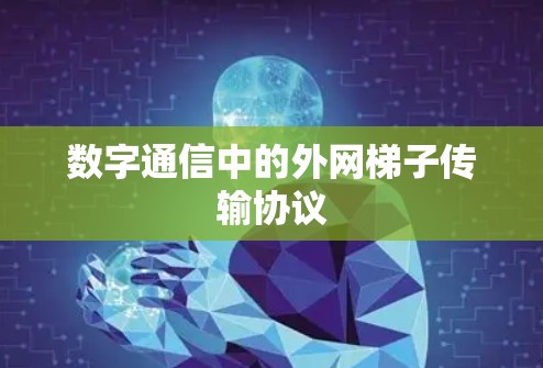 数字通信中的外网梯子传输协议