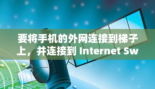 要将手机的外网连接到梯子上，并连接到 Internet Switchboard 或 Internet，可以按照以下步骤进行