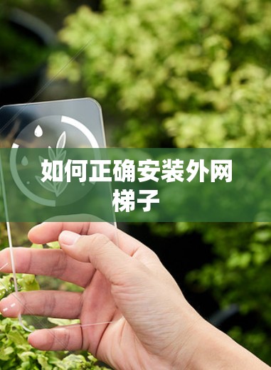 如何正确安装外网梯子