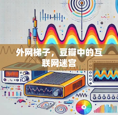 外网梯子，豆瓣中的互联网迷宫