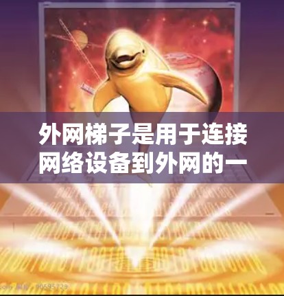 外网梯子是用于连接网络设备到外网的一组工具或设备。以下是关于外网梯子的详细步骤和建议