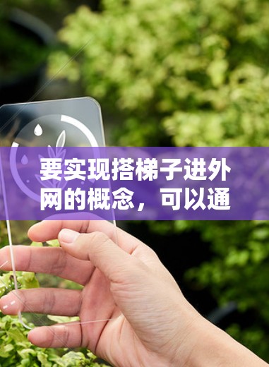 要实现搭梯子进外网的概念，可以通过以下步骤逐步实现