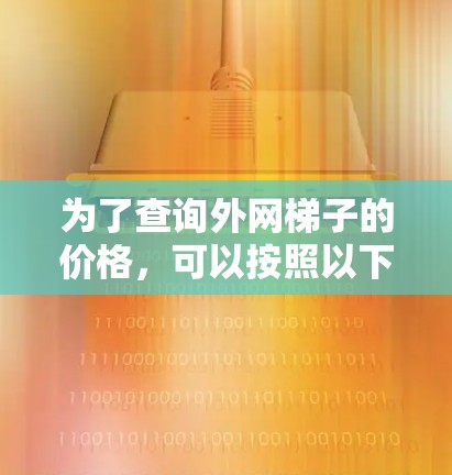 为了查询外网梯子的价格，可以按照以下步骤进行