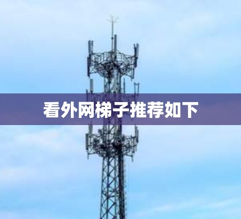 看外网梯子推荐如下