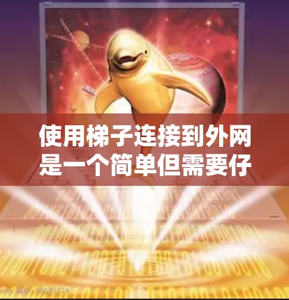 使用梯子连接到外网是一个简单但需要仔细处理的过程。以下是一步步的指南