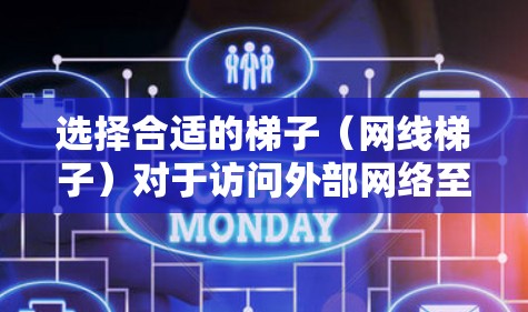 选择合适的梯子（网线梯子）对于访问外部网络至关重要，以下是详细的步骤和建议