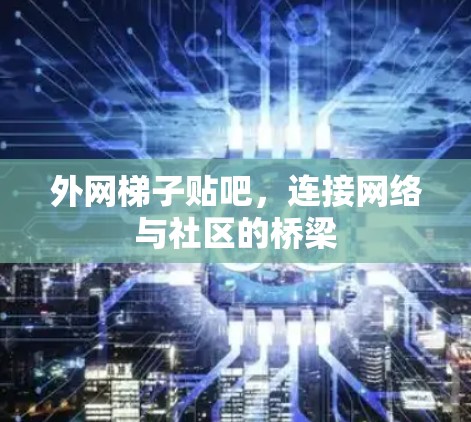 外网梯子贴吧，连接网络与社区的桥梁