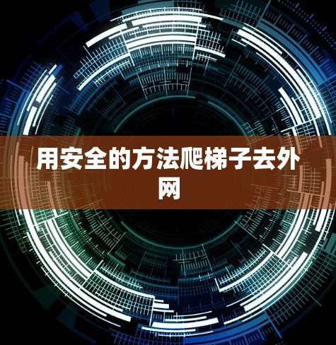 用安全的方法爬梯子去外网