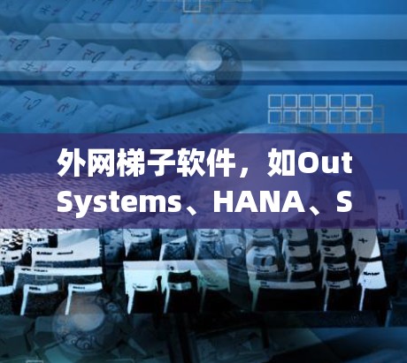 外网梯子软件，如OutSystems、HANA、SAP等，通常根据用户的需求和硬件配置来定价。以下是详细的费用结构和相关因素