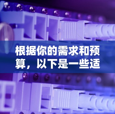 根据你的需求和预算，以下是一些适合外网梯子软件的推荐