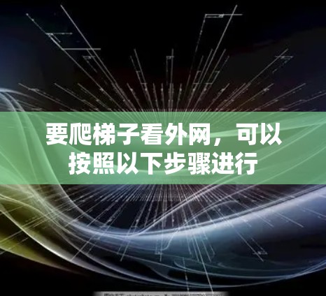 要爬梯子看外网，可以按照以下步骤进行