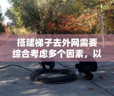 搭建梯子去外网需要综合考虑多个因素，以下是一步步的指南