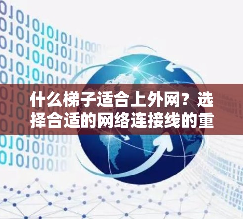 什么梯子适合上外网？选择合适的网络连接线的重要性