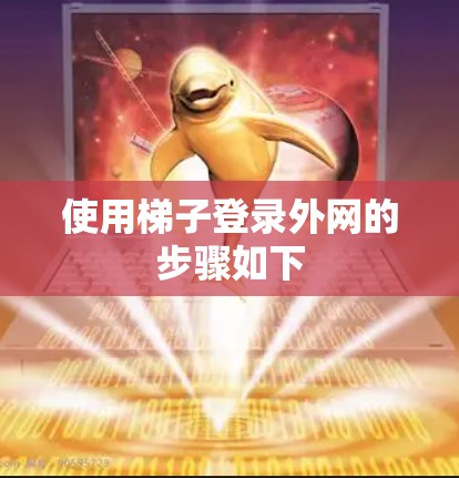 使用梯子登录外网的步骤如下