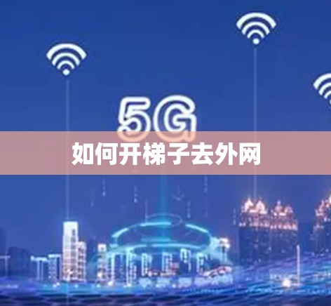 如何开梯子去外网