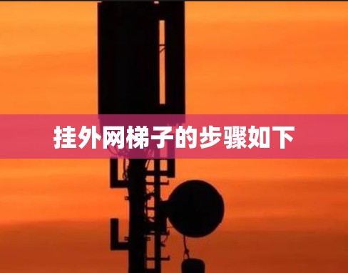 挂外网梯子的步骤如下