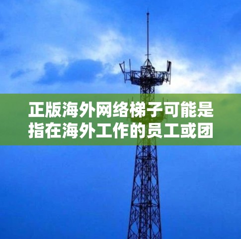 正版海外网络梯子可能是指在海外工作的员工或团队成员需要使用网络资源或工具时,寻求合法、合法合规的网络平台或解决方案。以下是一些可能的解释和建议 正版海外网络梯子可能是指在海外工作的员工或团队成员需要使用网络资源或工具时,寻求合法、合法合规的网络平台或解决方案。以下是一些可能的解释和建议