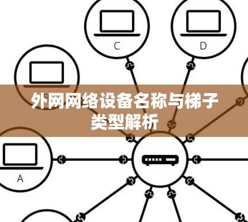 外网网络设备名称与梯子类型解析