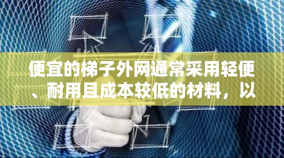 便宜的梯子外网通常采用轻便、耐用且成本较低的材料，以满足日常使用需求。以下是一些常见的便宜梯子外网类型和特点