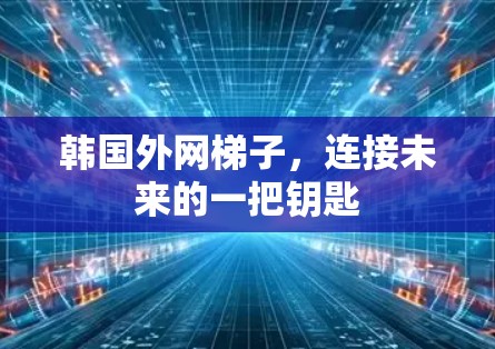 韩国外网梯子，连接未来的一把钥匙