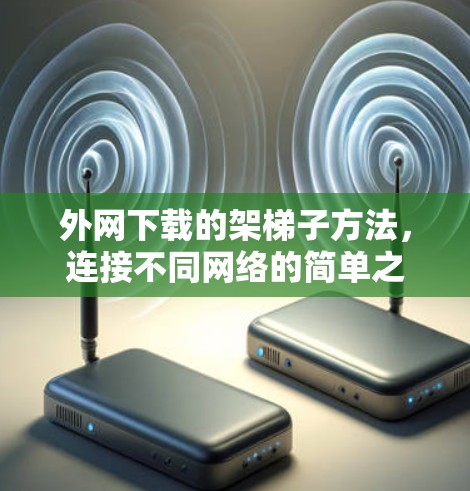 外网下载的架梯子方法，连接不同网络的简单之道