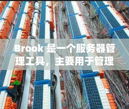 Brook 是一个服务器管理工具，主要用于管理 Nginx 等服务器。以下是一些关于brook 的服务器设置的步骤和指导