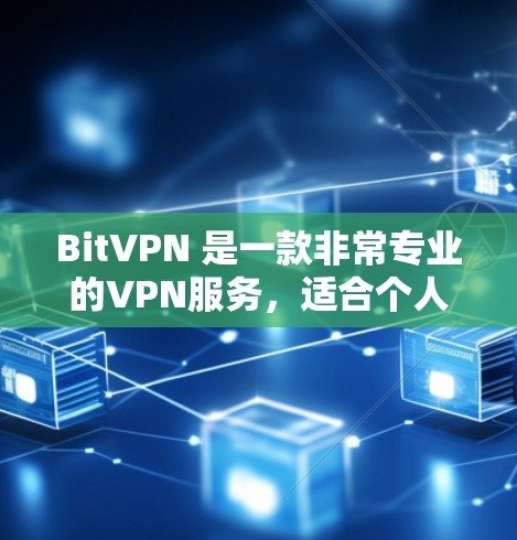 BitVPN 是一款非常专业的VPN服务，适合个人用户，尤其是那些经常使用流媒体、云服务或需要访问特定网络服务的用户。以下是一个详细的使用指南，帮助你更好地操作BitVPN