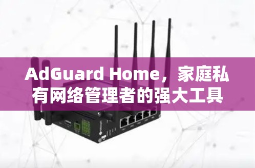 AdGuard Home，家庭私有网络管理者的强大工具