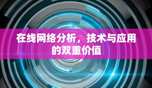 在线网络分析，技术与应用的双重价值