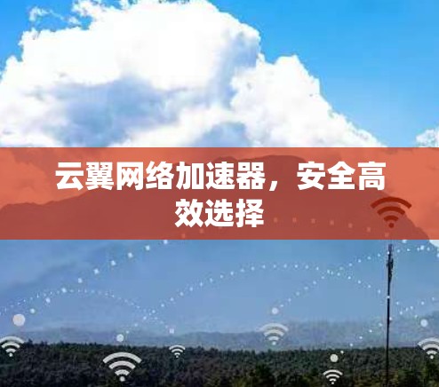 云翼网络加速器，安全高效选择