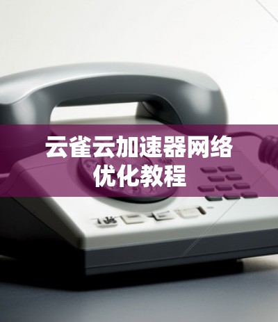 云雀云加速器网络优化教程