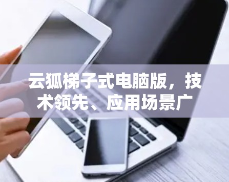 云狐梯子式电脑版，技术领先、应用场景广