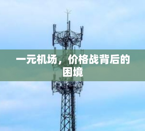 一元机场，价格战背后的困境