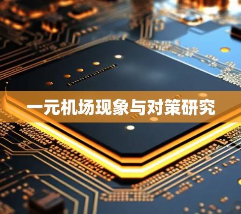 一元机场现象与对策研究