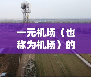 一元机场（也称为机场）的直连选择通常取决于多个因素，包括但不限于飞行时间、飞行成本、距离等因素。以下是一些关键点