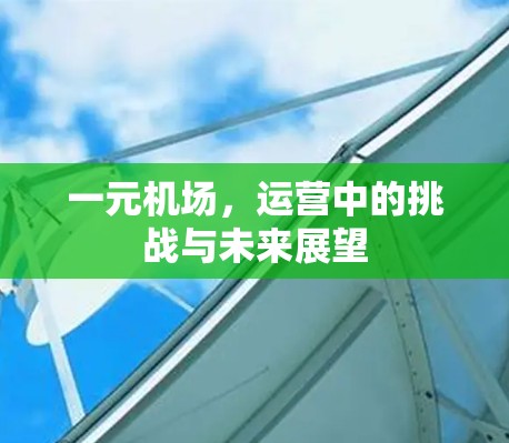 一元机场，运营中的挑战与未来展望