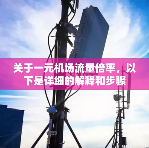 关于一元机场流量倍率,以下是详细的解释和步骤 关于一元机场流量倍率,以下是详细的解释和步骤